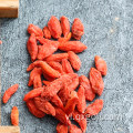 Goji hữu cơ nhất và acai berries thảo mộc truyền thống